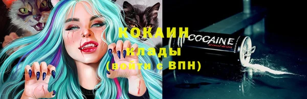 дживик Сафоново
