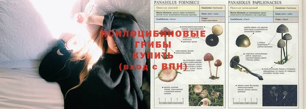 спиды Абинск