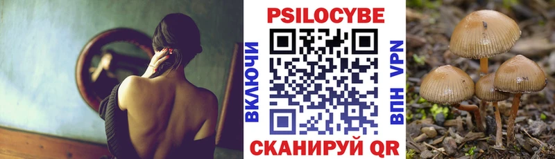 Галлюциногенные грибы мицелий  где продают наркотики  Истра 