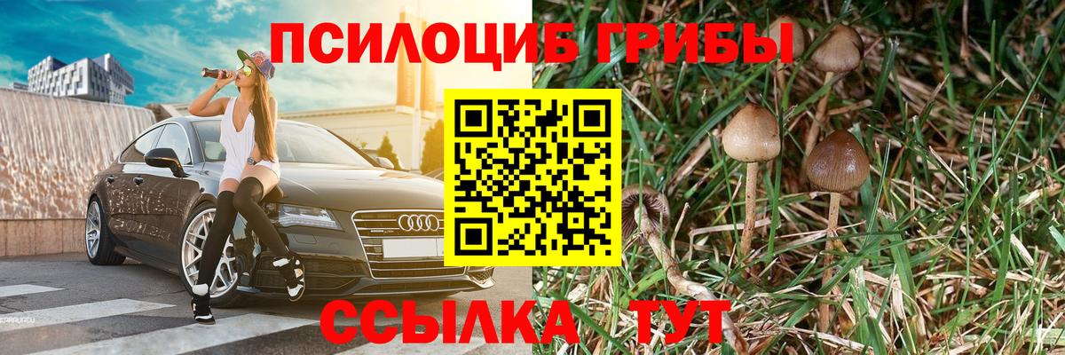 Галлюциногенные грибы Cubensis Истра